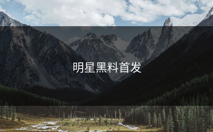 明星黑料首发