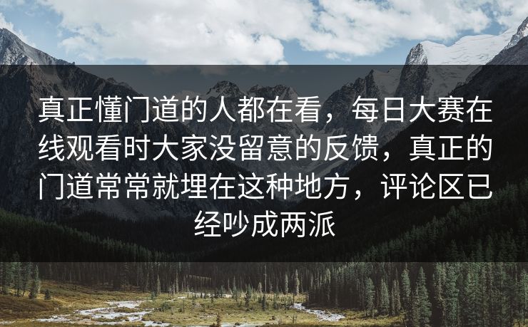 真正懂门道的人都在看，每日大赛在线观看时大家没留意的反馈，真正的门道常常就埋在这种地方，评论区已经吵成两派